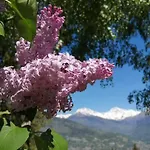 I Picchi غريسان
