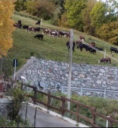 I Picchi