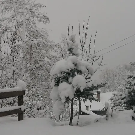 I Picchi Affittacamere