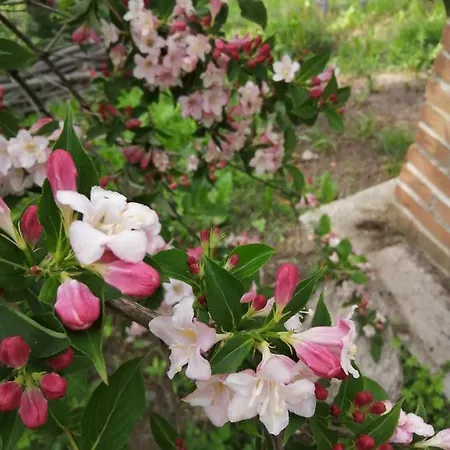 Affittacamere I Picchi Gressan