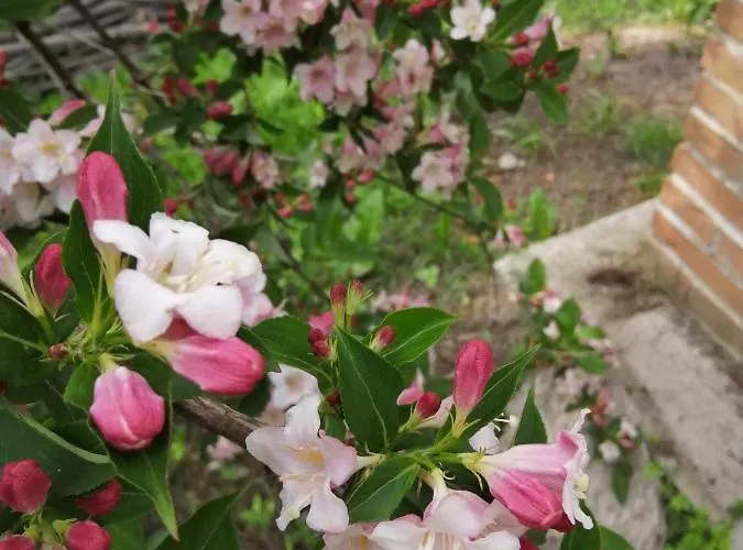 בית הארחה I Picchi גרסאן