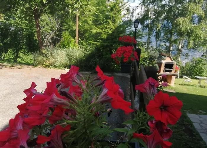 I Picchi בית הארחה